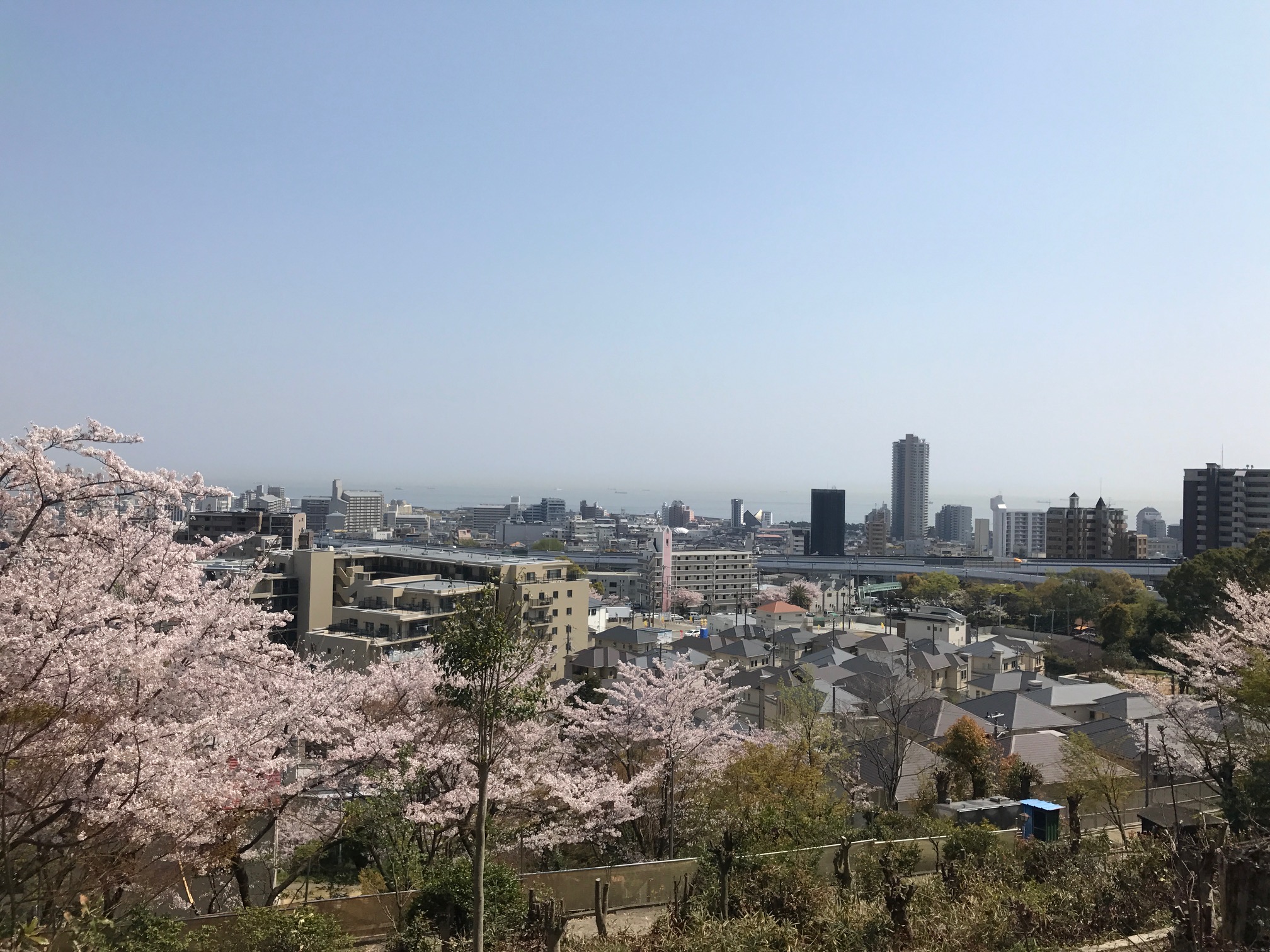 地活ヨハネ1