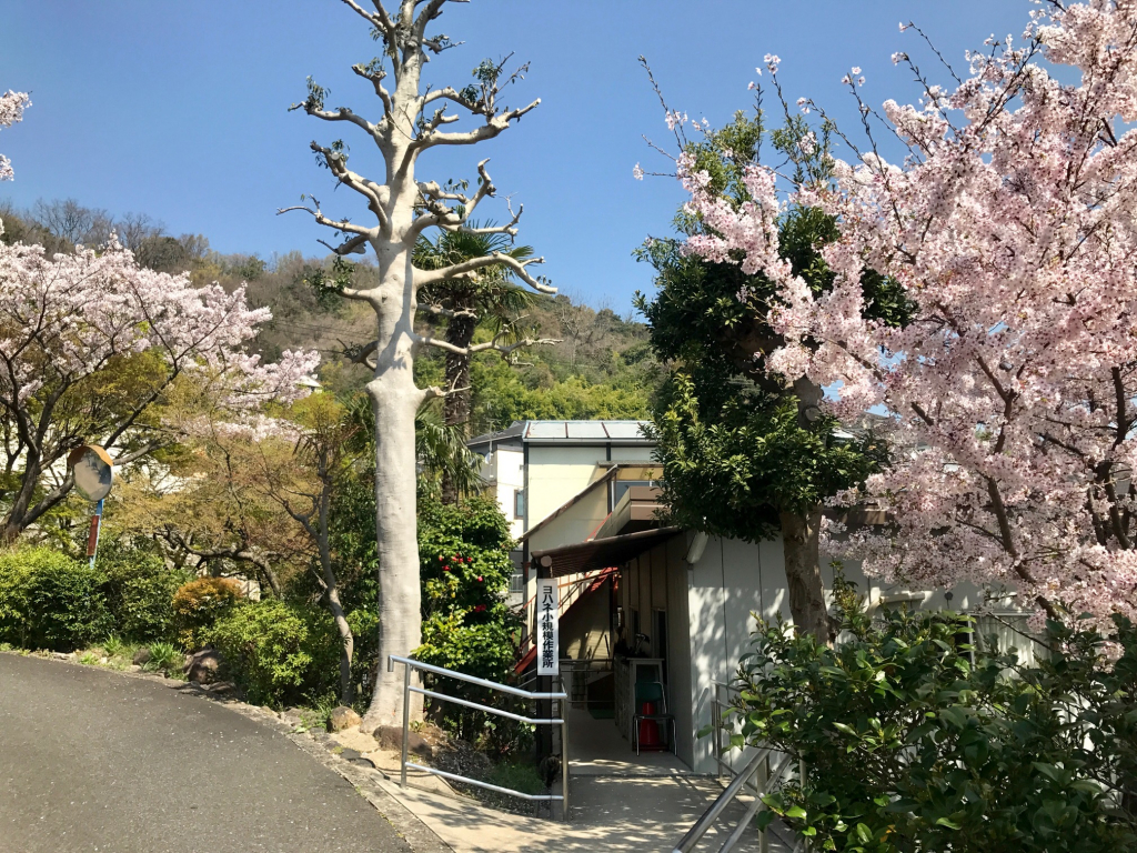 小規模外観