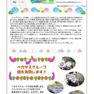 2025年度　6月　かわら版のサムネイル