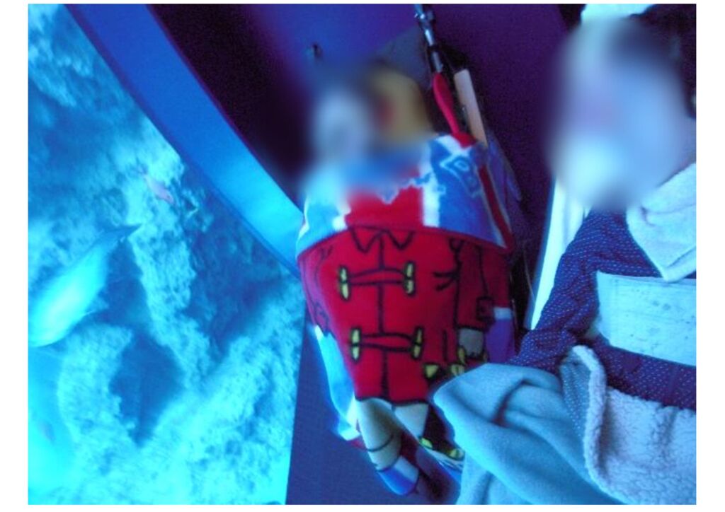 ①のサムネイル