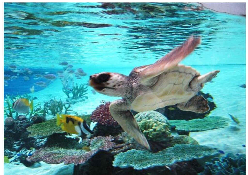 ③のサムネイル